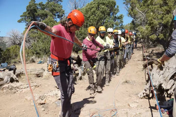 rescue team pulling ropes in trees