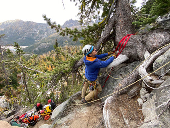 person in blue jacket securing webbing to tree for rope extraction on steep slope in forest