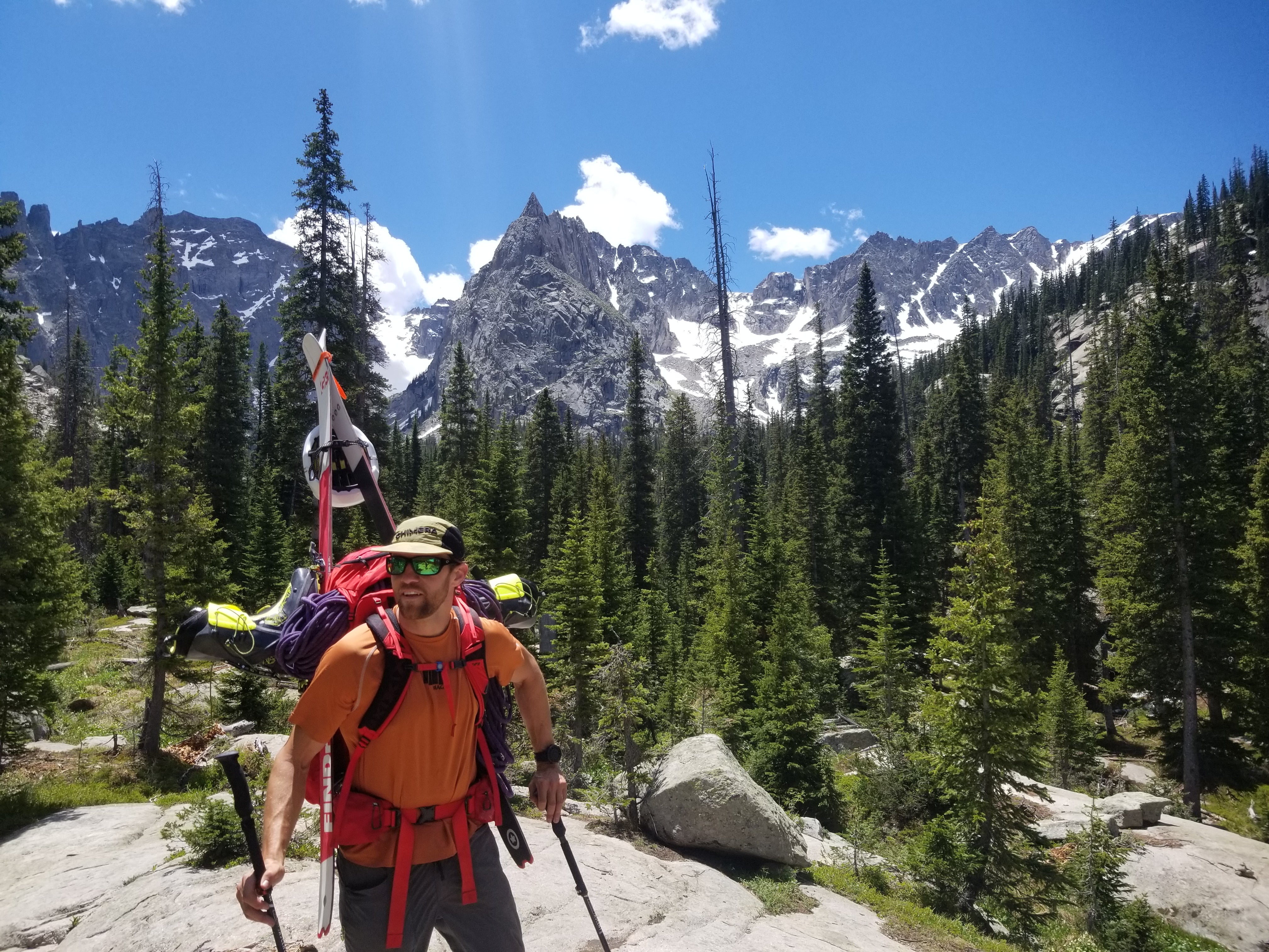 Self arrest store with trekking pole