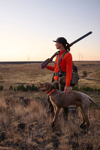 Hunter with a dog in a field during sunset