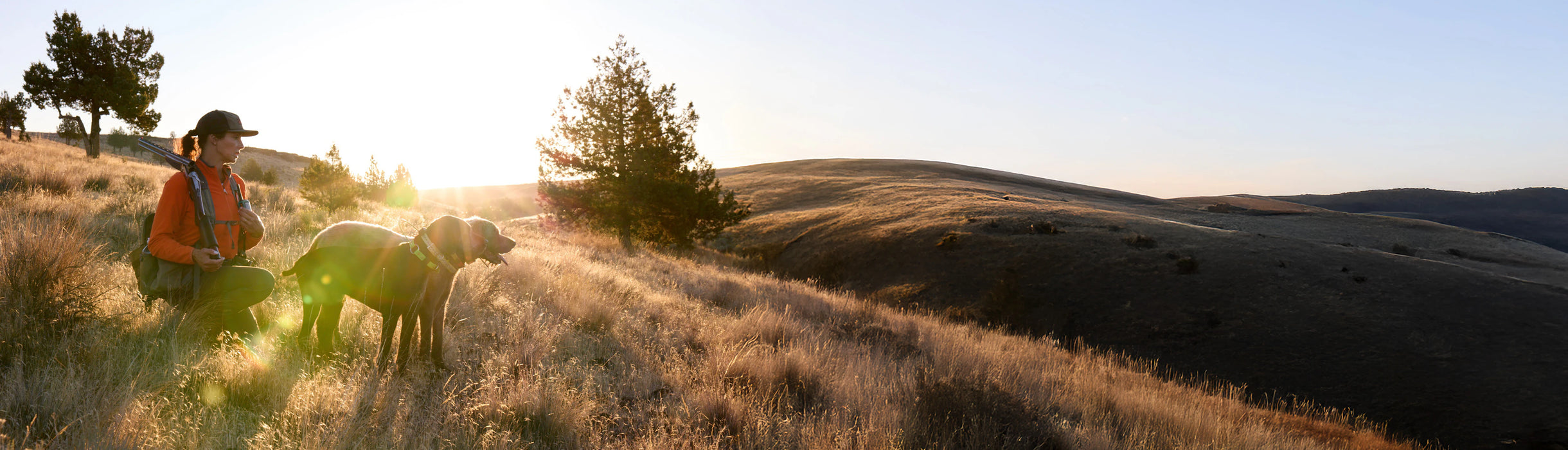 woman hunting with dogs in hills