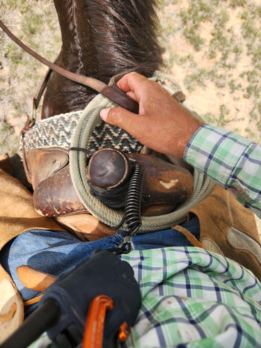 Close-up of a hand holding a rope on a horse, with a plaid shirt and saddle in the background.