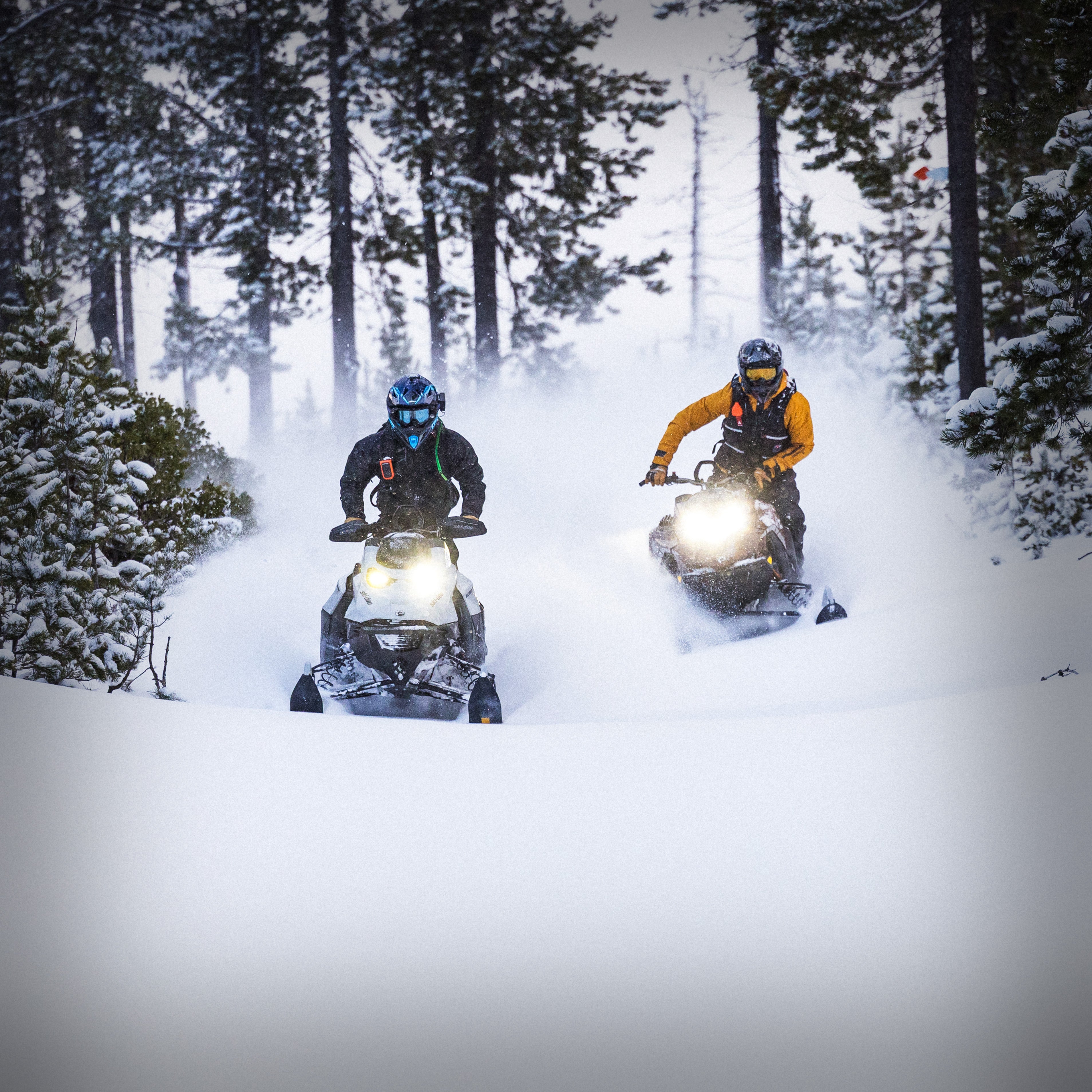 Happy Rocky Dialy です‼️ Activity Snowmobile – Rocky Talkie