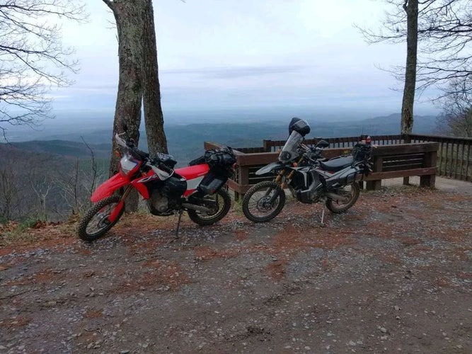 Two motorcycles parked on a scenic overlook with a bench and tree.