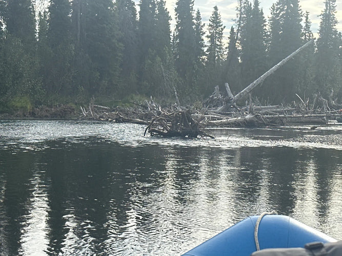 Blue kayak on a lake with trees and fallen logs in the background
